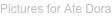 shapeimage_9_link_12