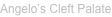 shapeimage_9_link_14