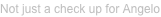 shapeimage_9_link_15