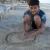 100_4363.JPG