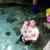 100_4407.JPG